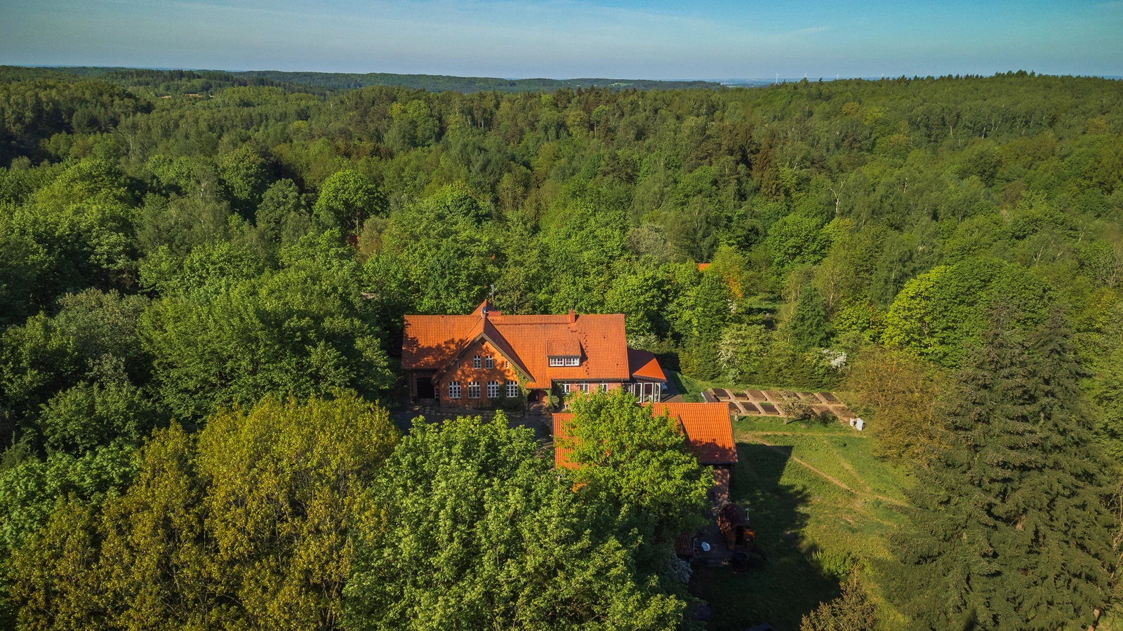 5 Energii Mądrości 2 5 Energii Mądrości - obrazek 2