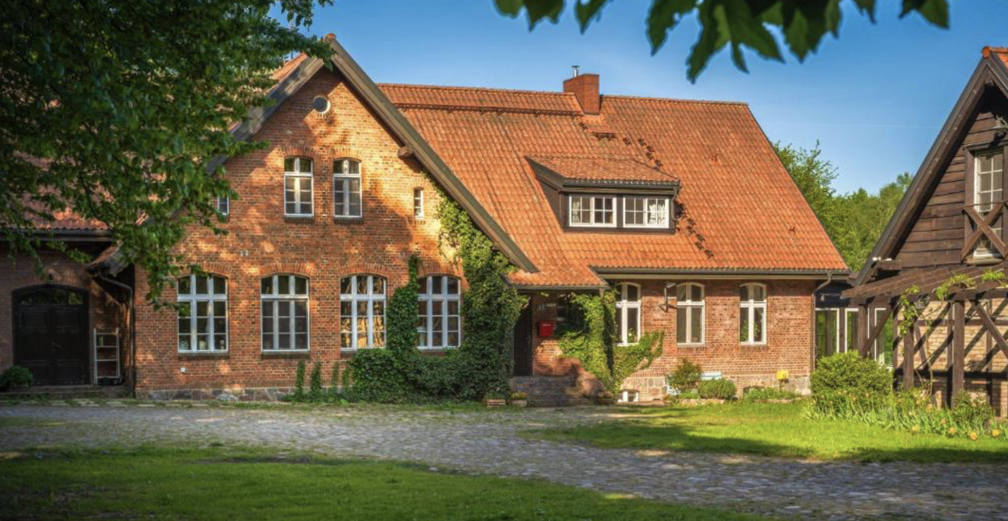 5 Energii Mądrości 3 5 Energii Mądrości - obrazek 3