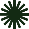 Summer Yoga Lab Basic sun green